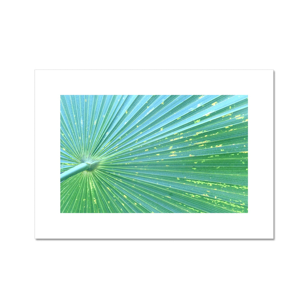 LIME PLEATS