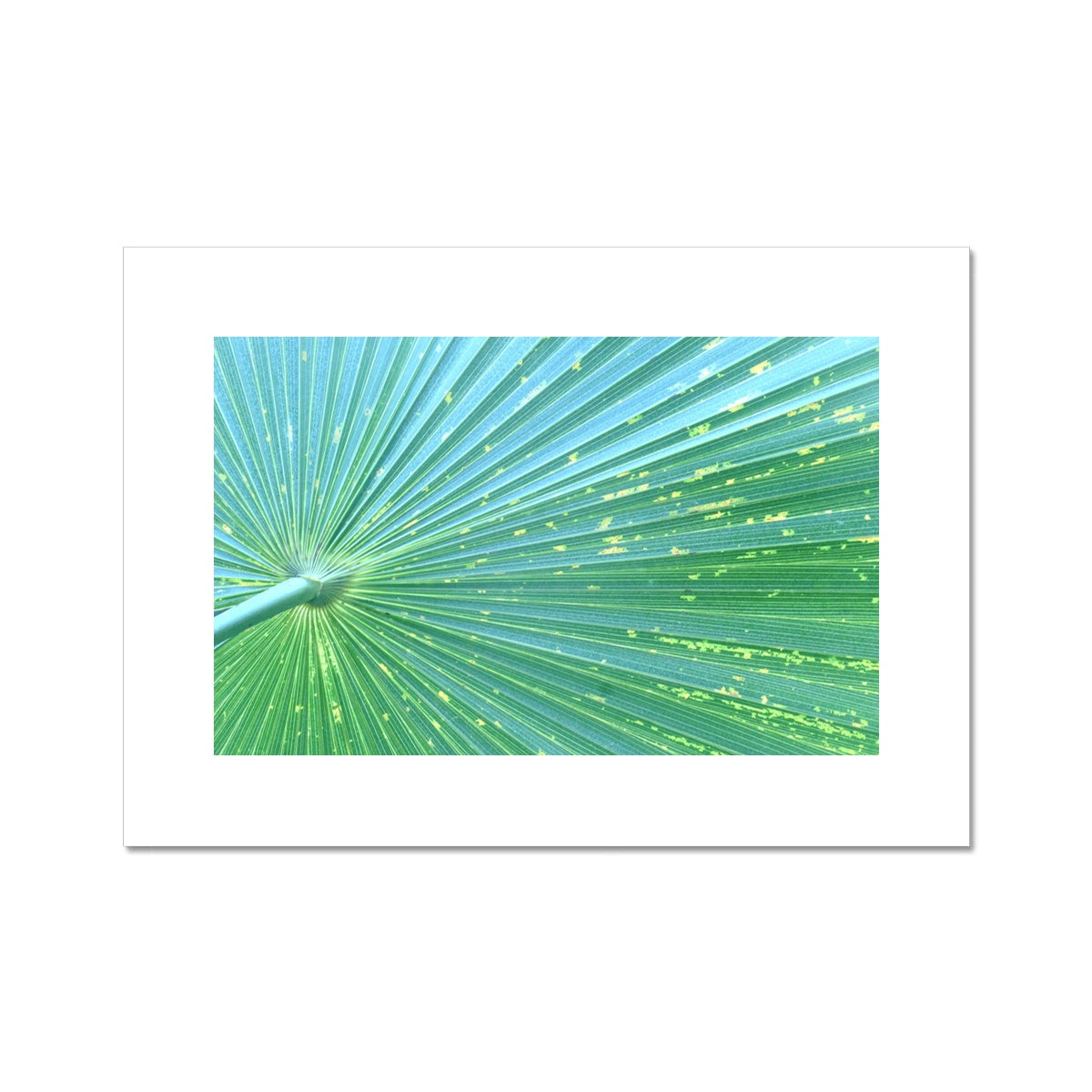 LIME PLEATS