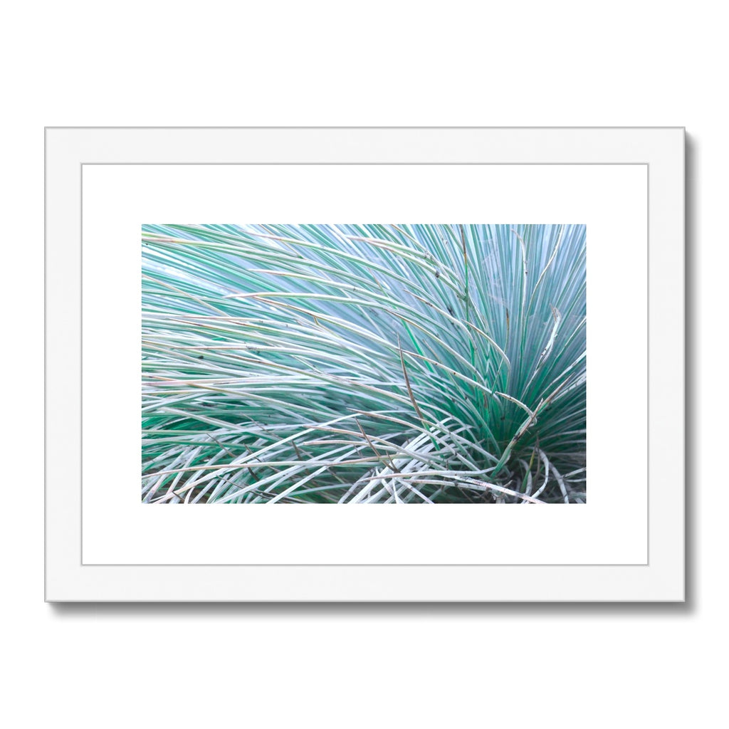 GRASS WHISKERS - Framed Print
