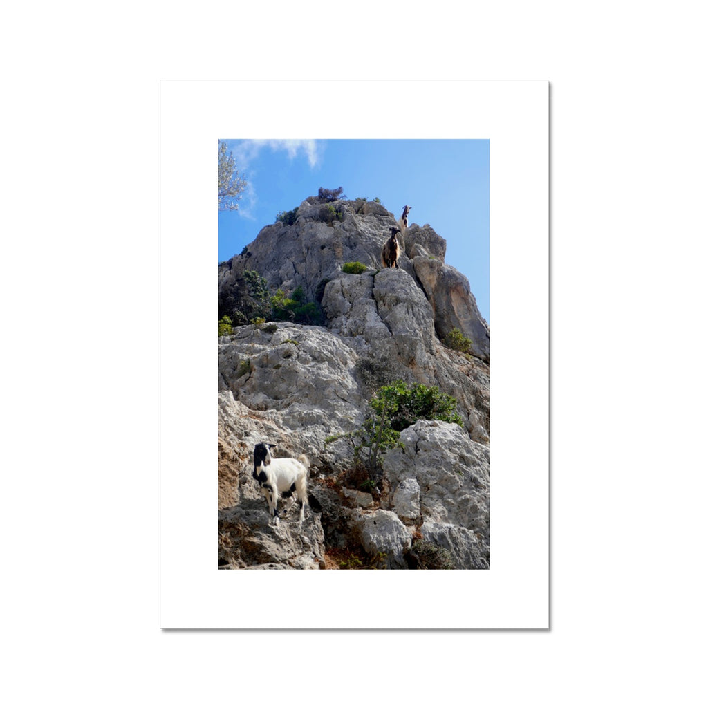 Fine Art Print
