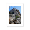 Fine Art Print