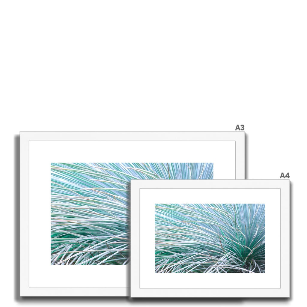 GRASS WHISKERS - Framed Print