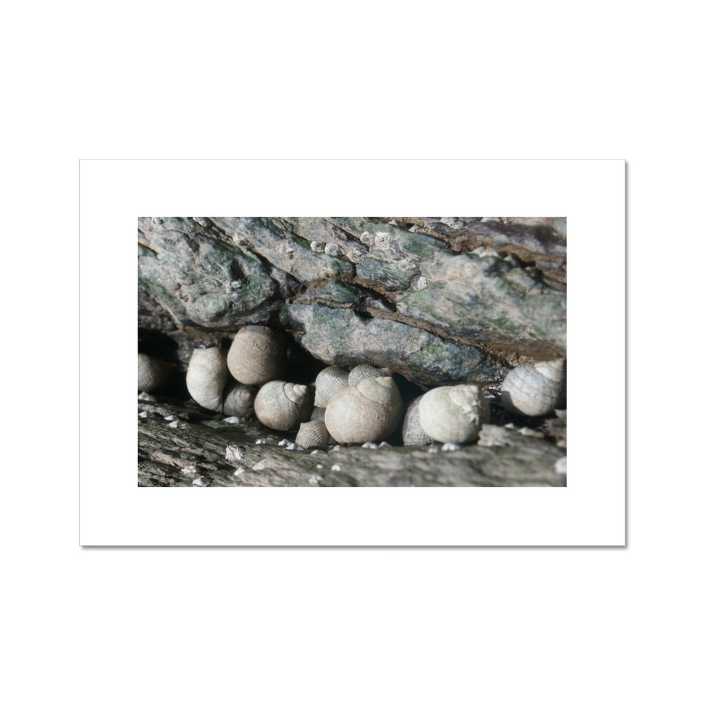 ROCKPOOL