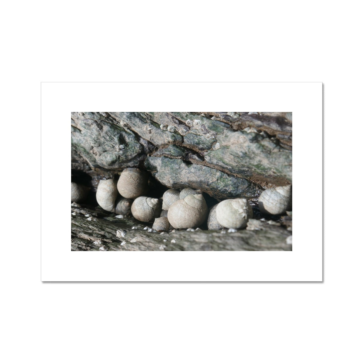 ROCKPOOL