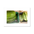 MELON BOX