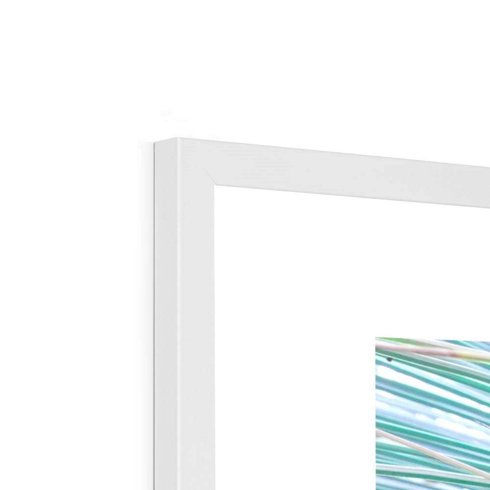 GRASS WHISKERS - Framed Print