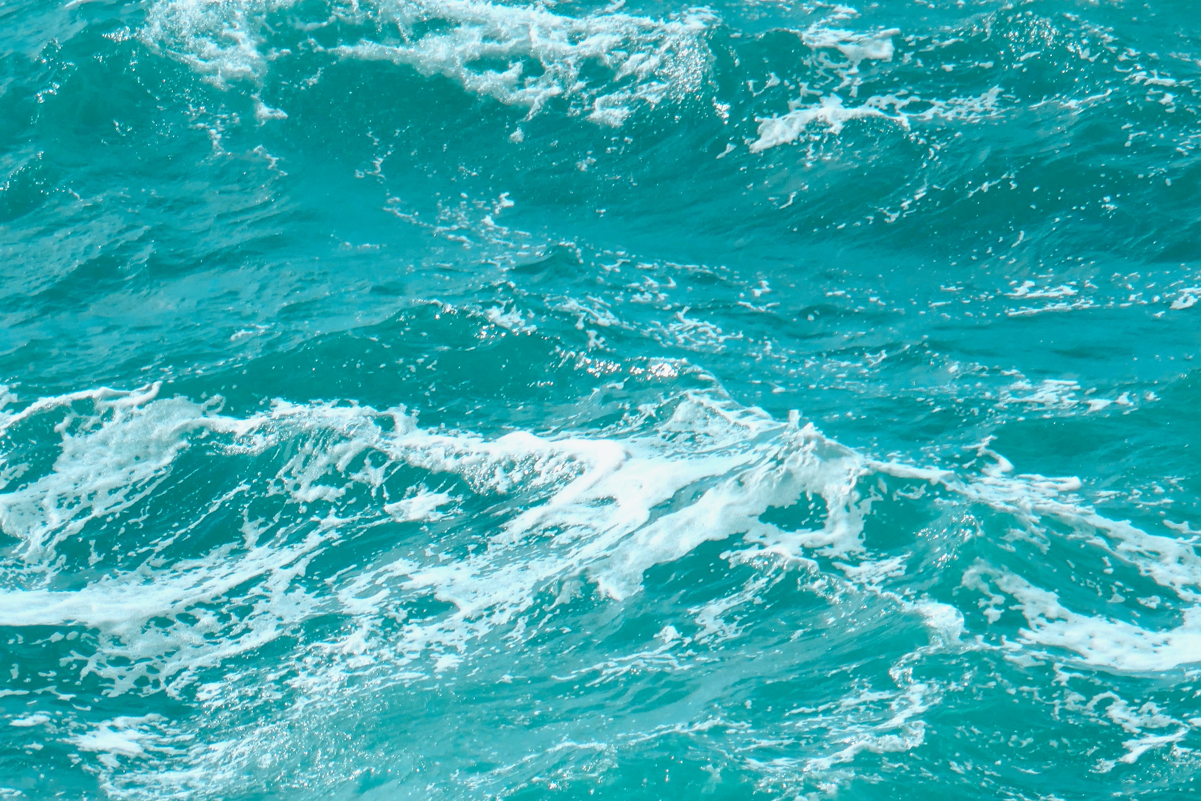 SEA FOAM