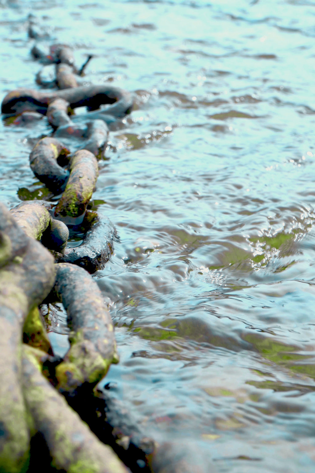 SPRING TIDES