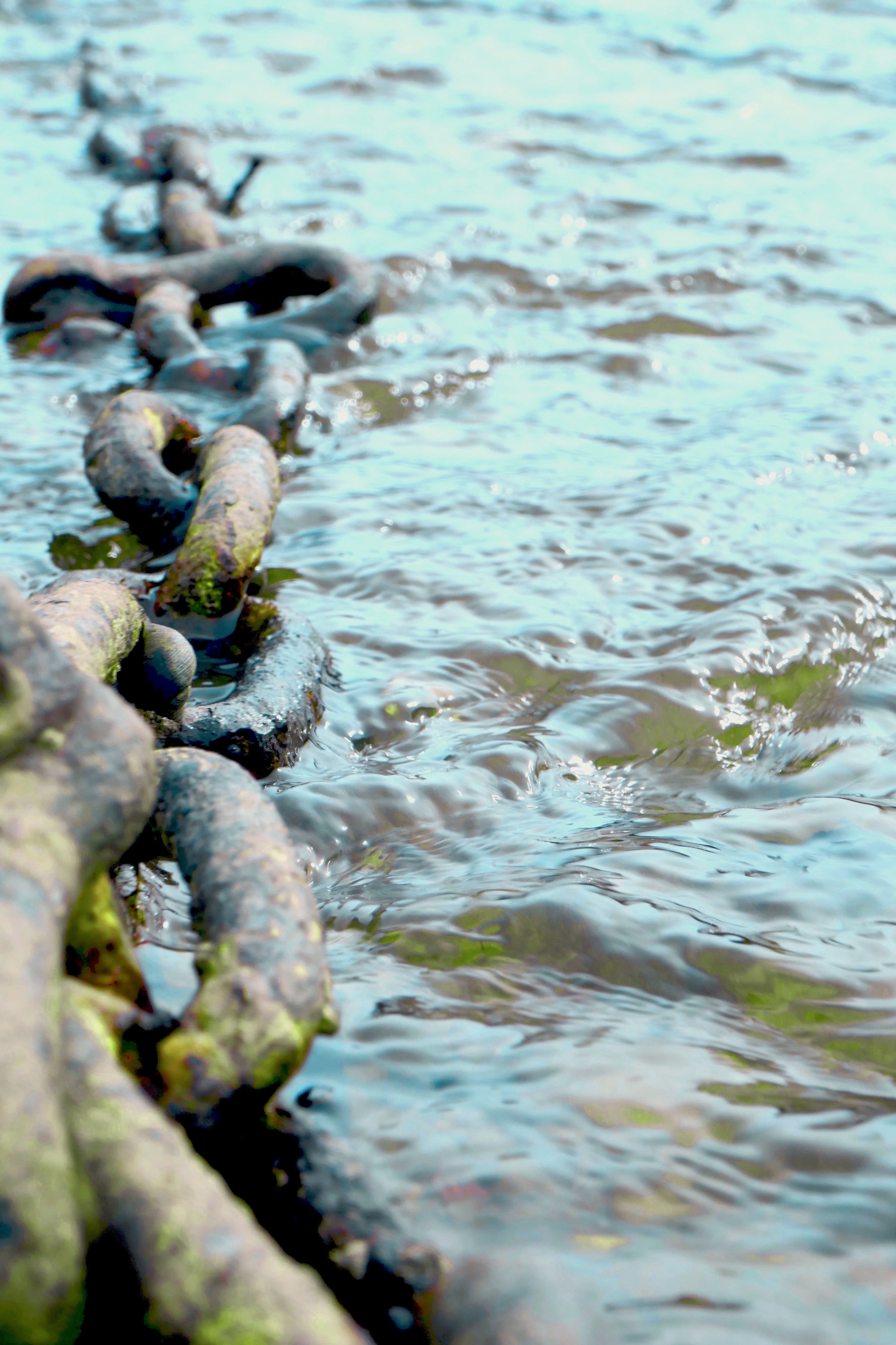 SPRING TIDES