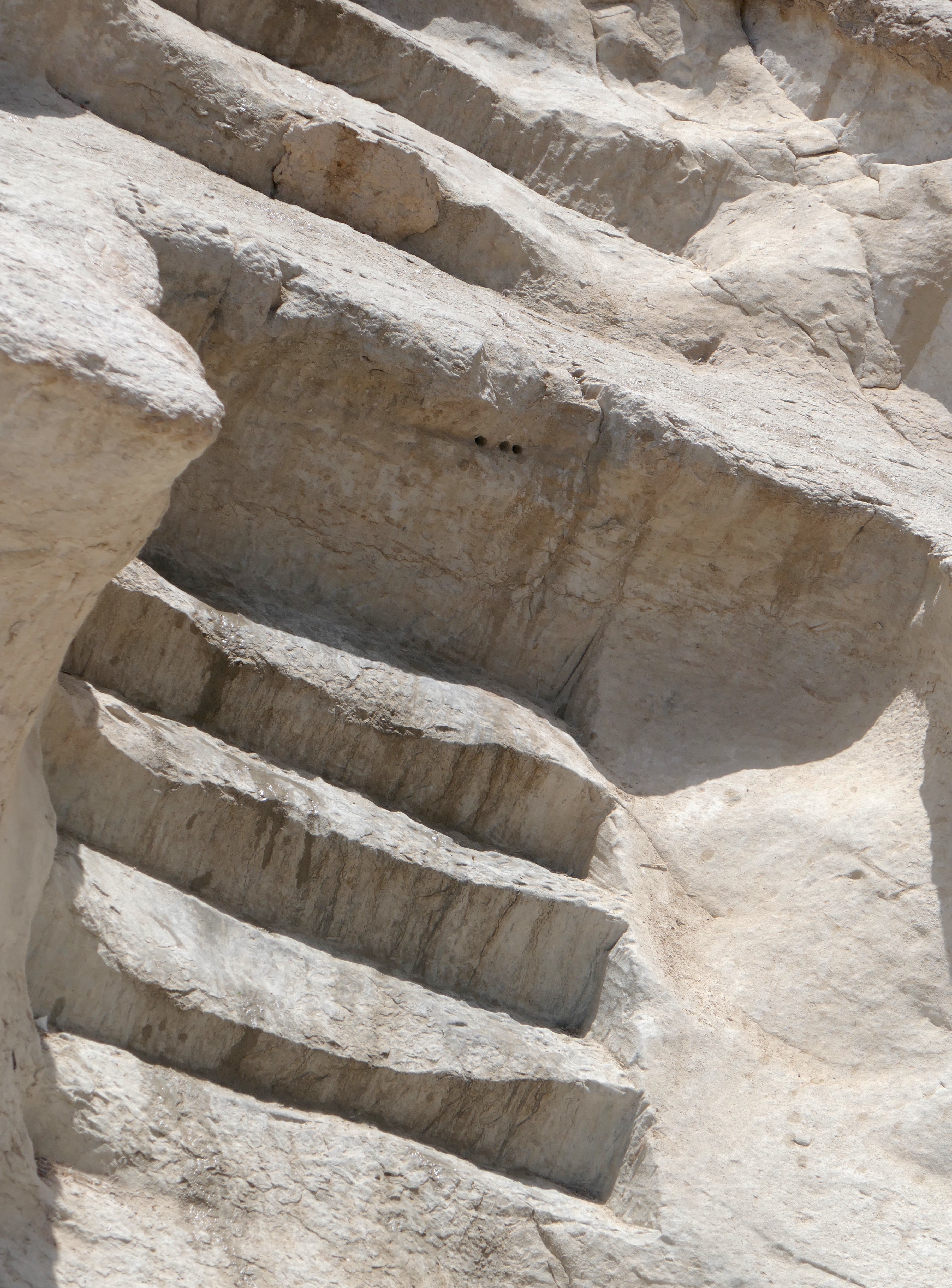 WHITE STEPS